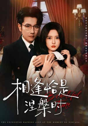相逢恰是涅槃时（63集）爱上了这部剧了