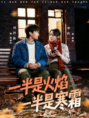 一半是火焰一半是寒霜（60集）好看的短剧