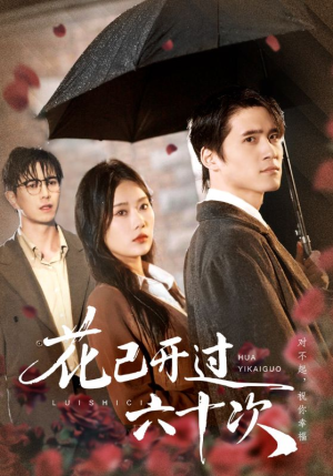 情敌交手她选择躺赢（72集）在线免费观影