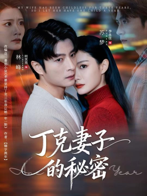 丁克妻子的秘密（60集）百度网盘资源