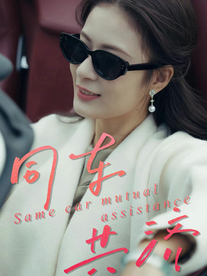 同车共济（39集）排行榜前十短剧