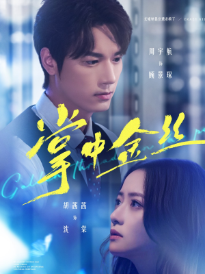 掌中金丝（60集）最新热播短剧