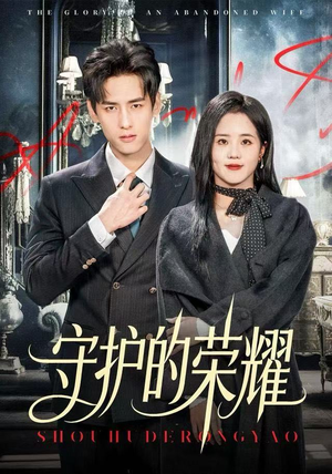 守护的荣耀（69集）全集都在这里了